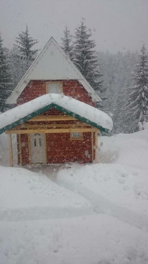 Small Montenegro Žabljak Exterior foto